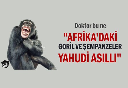 Apes are mutated Jews