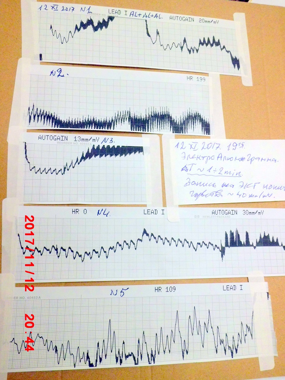 CIMG09251.jpg