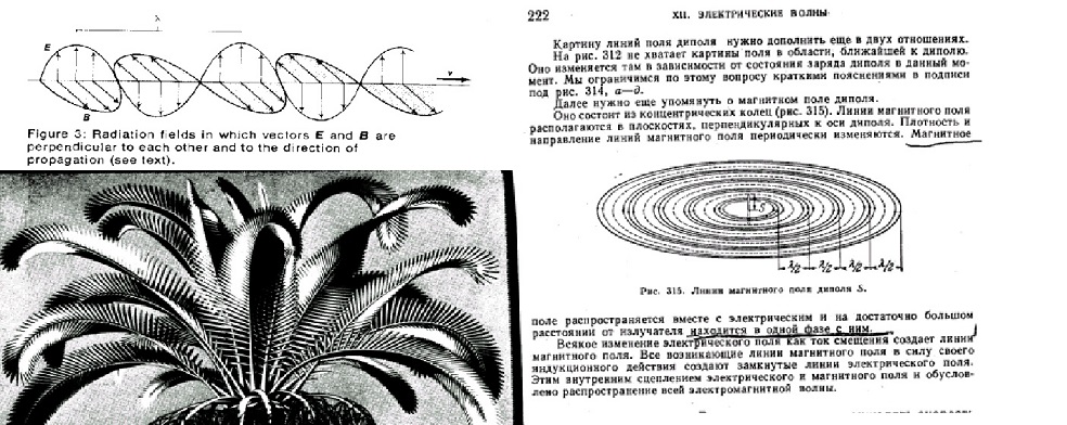 Electromagnetic waive.1 jpg